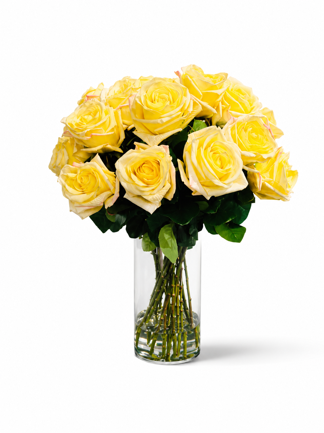 Golden Sun Yellow Roses