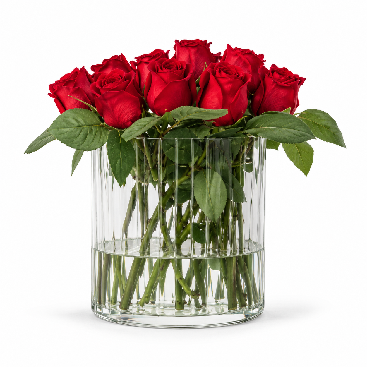 Scarlet Grace Red Roses