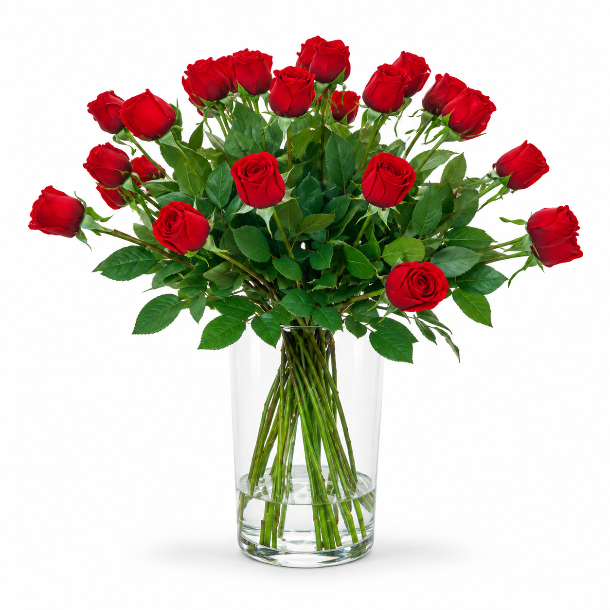 Velvet Romance Roses
