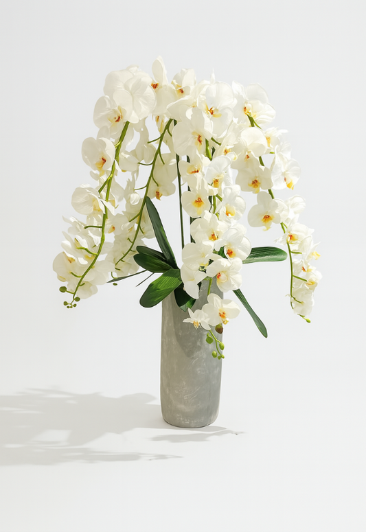 Dancing Orchids