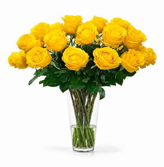 Golden Sun Yellow Roses