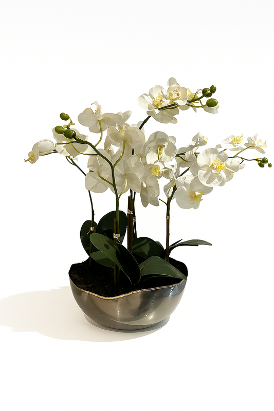 Orchid 4 Stemmed  in Bowl