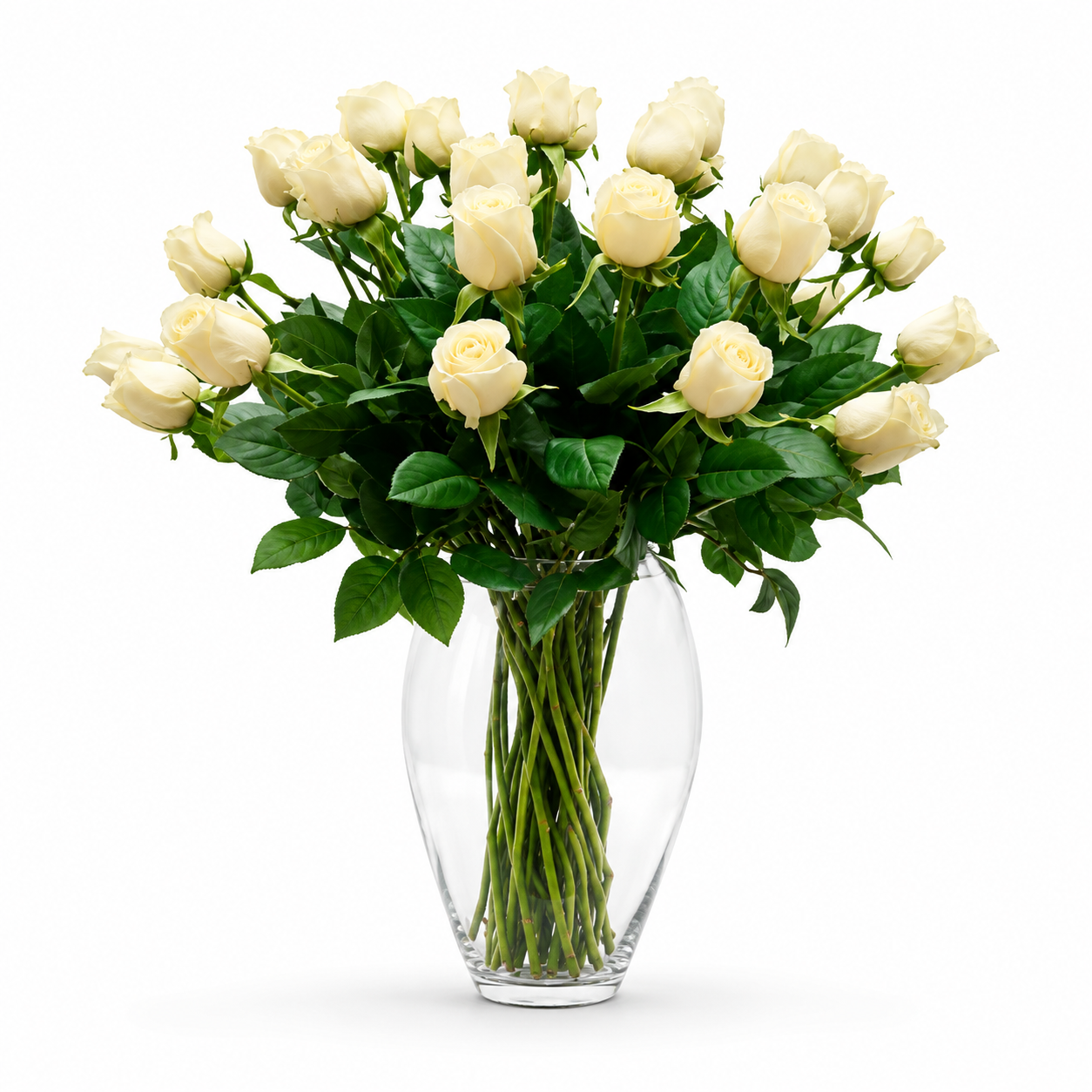 Pearl Romance White Roses
