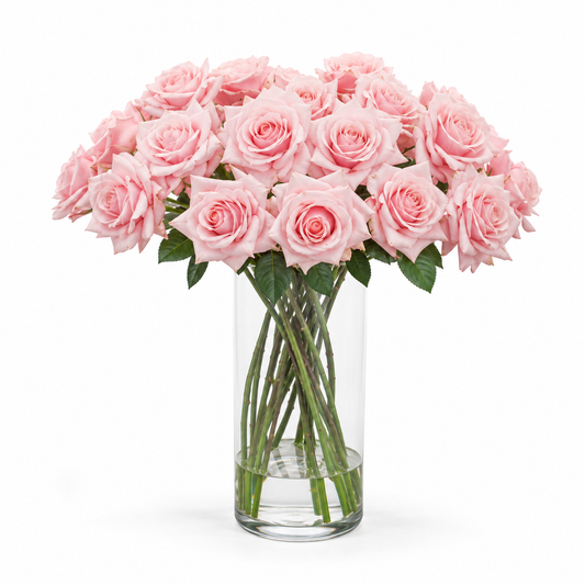 Pink Champagne Roses