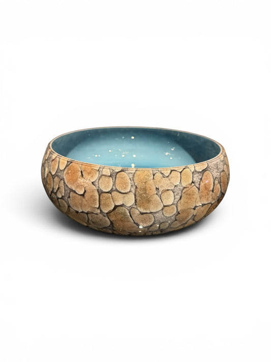 Tide Bowl