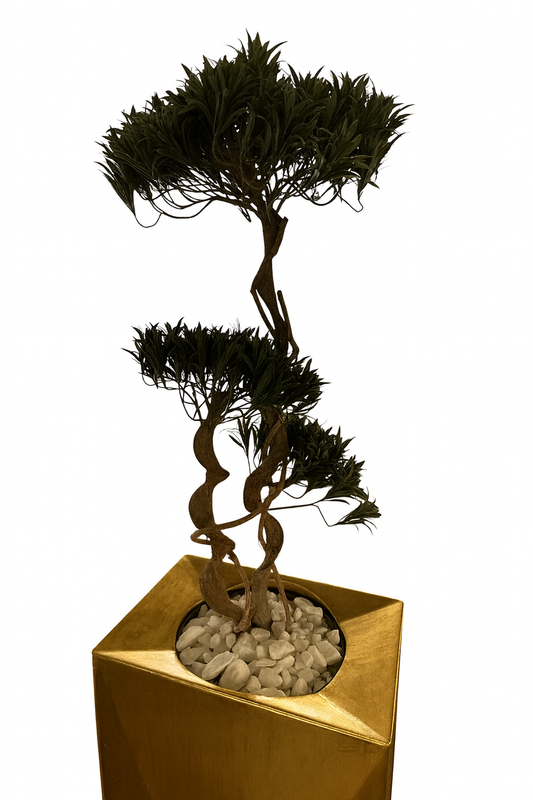 Twist Trunk Bonsai Tree